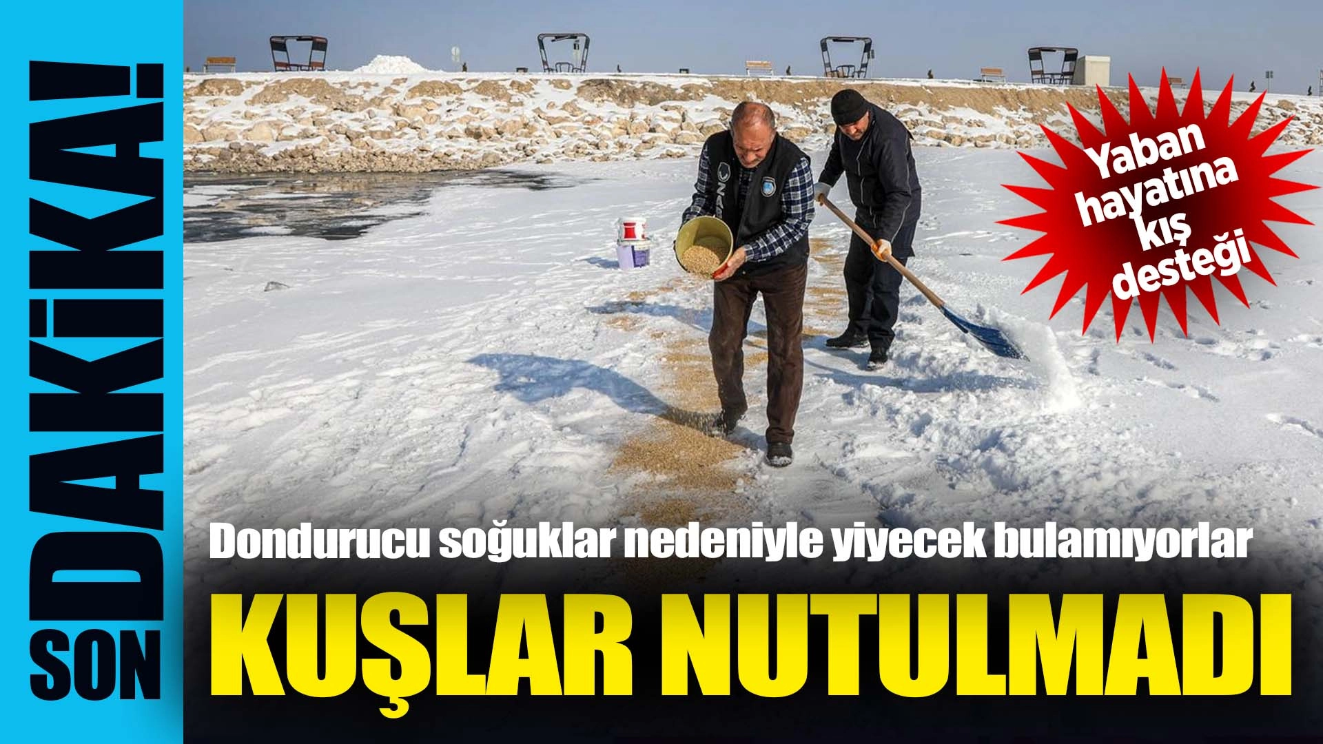 Van'da kuşlar i&ccedil;in doğaya yem bırakıldı