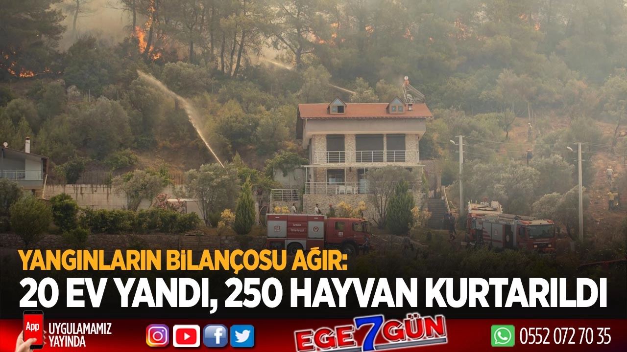Yangınların bilançosu ağır: 20 ev yandı, 250 hayvan kurtarıldı