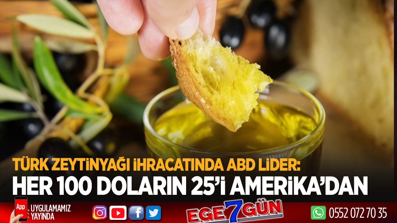 Zeytincilik sektöründen ABD’ye 118 milyon dolarlık ihracat