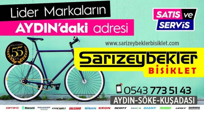 SARIZEYBEKLER